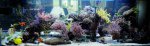 DSC_7813.jpg