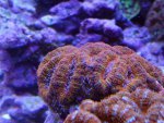 DSC00050.jpg