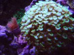DSC00055.jpg