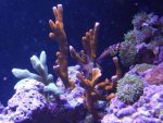 DSC00063.jpg