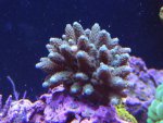 DSC00065.jpg