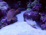DSC00082.jpg