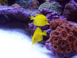 DSC00085.jpg