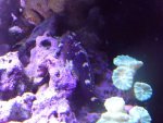 DSC00110.jpg