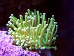 DSC00116.jpg