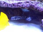 DSC00119.jpg