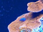 DSC00143.jpg
