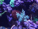 DSC00146.jpg
