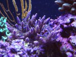 DSC00154.jpg
