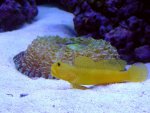 DSC00165.jpg