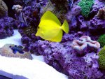 DSC00173.jpg