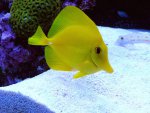 DSC00177.jpg