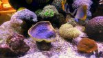 Afbeelding_20160827122528917.jpg Afbeelding_20160827122528917.jpg