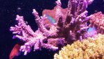 20160829_195252.jpg
