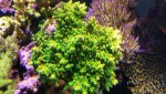 20160829_195317.jpg