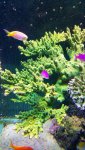 20160829_195455.jpg