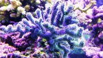 20160829_195107.jpg