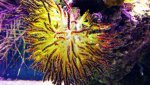 20160829_195124.jpg