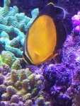 IMG_0019.jpg