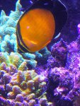 IMG_0020.jpg