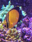IMG_0022.jpg