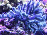 IMG_0016.jpg