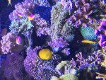 IMG_5897.jpg