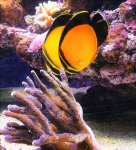 20160908_171727.jpg