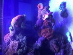 IMG_0104.jpg