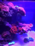 IMG_0105.jpg