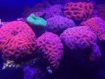 IMG_0108.jpg