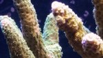 20160915_163509.jpg
