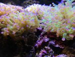 IMG_2712.jpg