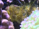 IMG_2718.jpg