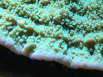 IMG_2728.jpg