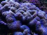 IMG_2741.jpg