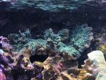 IMG_2744.jpg