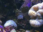 IMG_2757.jpg