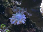 IMG_2758.jpg