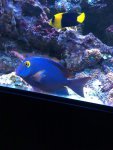 IMG_5609.jpg IMG_5609.jpg