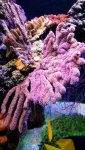 20161009_144919_001.jpg