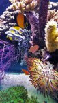 20161009_145012.jpg