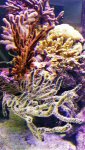 20161009_150530.jpg