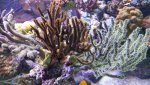 20161009_145255.jpg