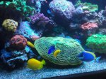 IMG-20161124-WA0010.jpg