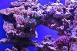 028.jpg 028.jpg