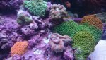 DSC_0677.jpg