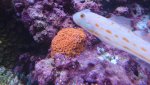 DSC_0682.jpg