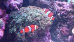 _20170129_202451.jpg _20170129_202451.jpg