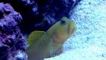_20170129_202415.jpg _20170129_202415.jpg